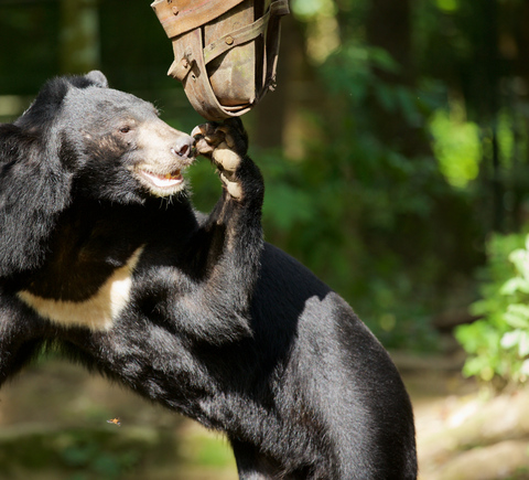 Zoos und Aquarien