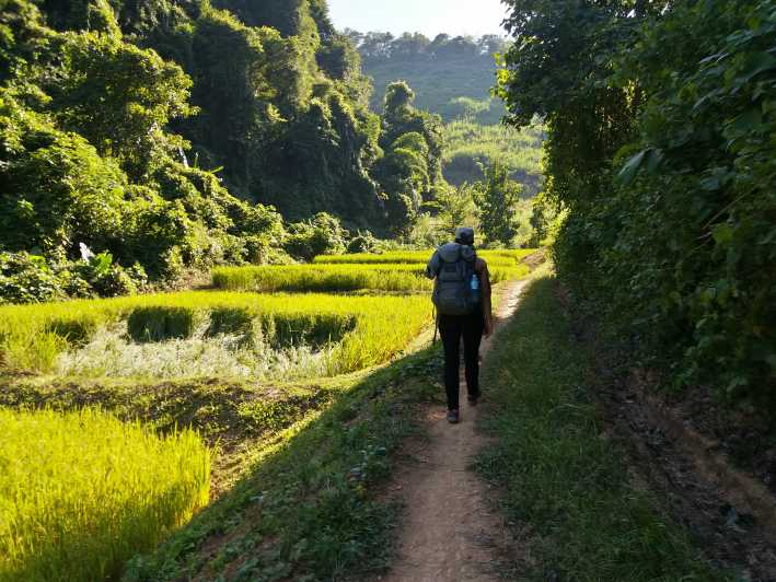 Luang Prabang: 3-tägige kulturelle Wanderung mit Gastfamilie