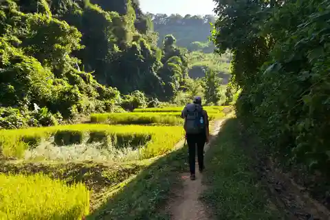 Luang Prabang : 3 jours de randonnée culturelle à distance avec hébergement chez l'habitant