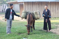 Luang Prabang, 3 días de viaje cultural remoto con alojamiento en casa - Hizvo