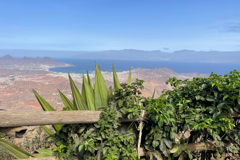 Visita alla casa del tè, Monte Verde