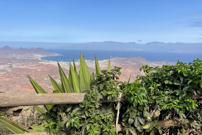 Visita alla casa del tè, Monte Verde