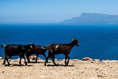 From Chania: Balos Lagoon &amp; Falassarna Private 4WD Road Trip