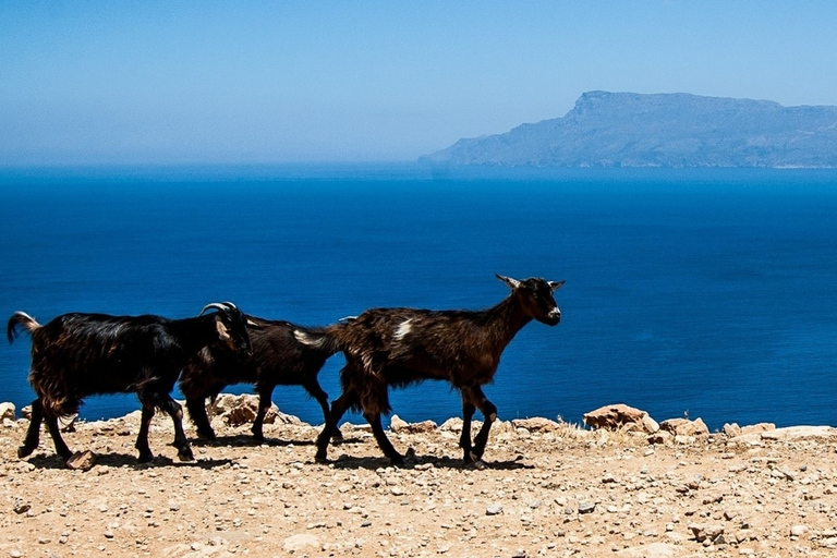 From Chania: Balos Lagoon & Falassarna Private 4WD Road Trip