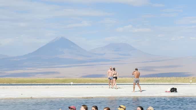 atacama cejar lagoon ojos del salar tebinquiche lagoon