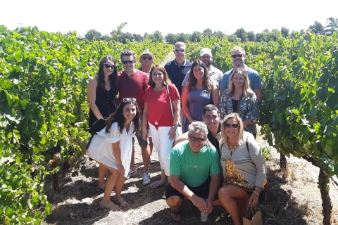 Guided Private Wine Tour to Napa and Sonoma Wine Country