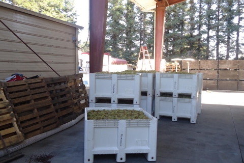 Visita guiada privada del vino a Napa y Sonoma Wine Country