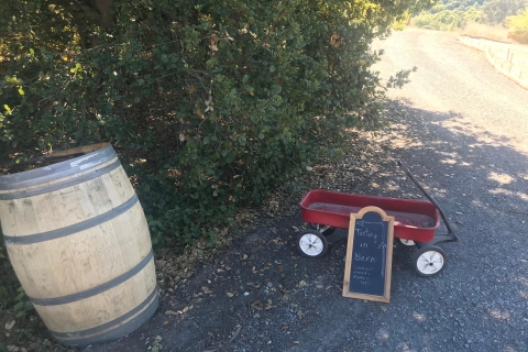 Prywatna wycieczka z przewodnikiem po Napa i Sonoma Wine Country