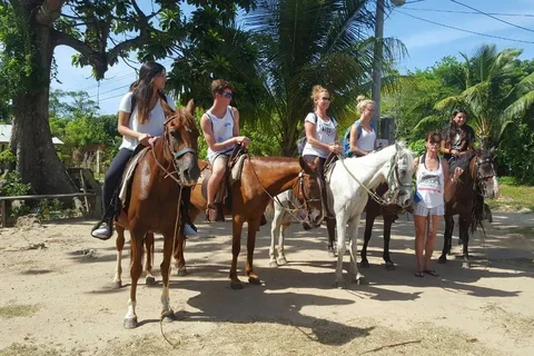 Roatán: Private Horseback Riding Tour