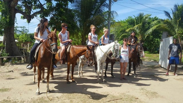 Visit Roatán Private Horseback Riding Tour in Puri