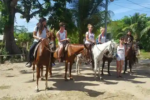 Roatán: Private Horseback Riding Tour