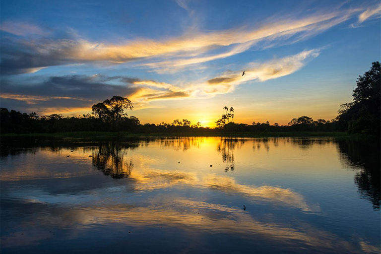 Puerto Maldonado: 4-Day Amazon Rainforest Adventure