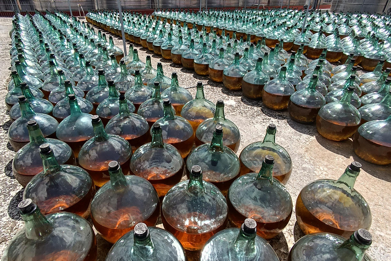 Secretos del Vino Dorado