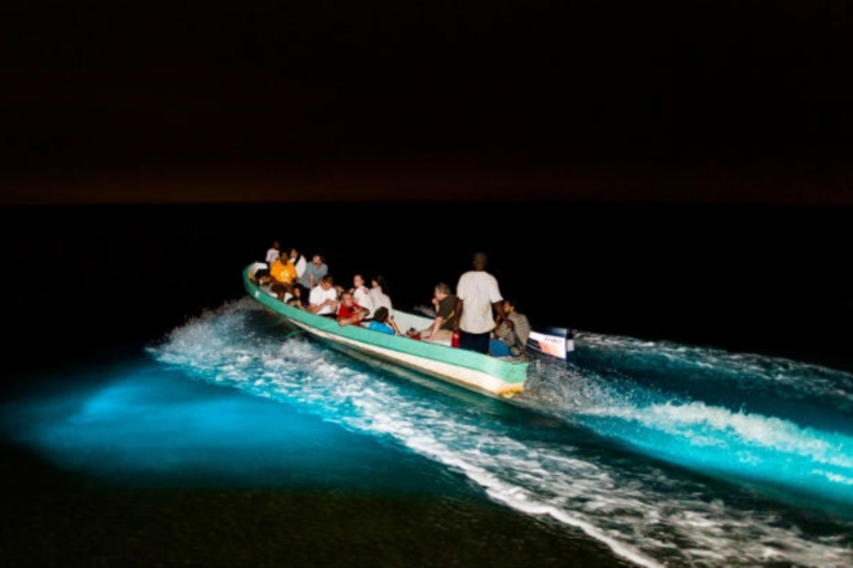 Puerto Escondido: Spectacle nocturne de bioluminescence