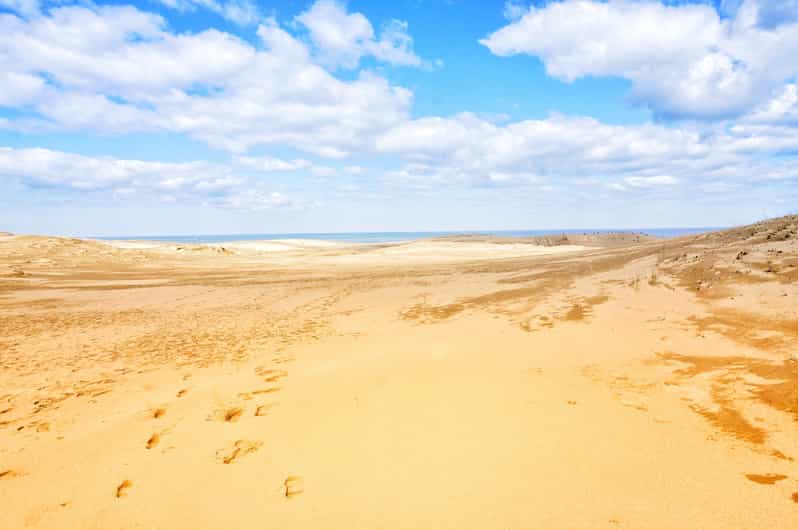 From Osaka: Tottori Sand Dunes,Hakuto Shrine Museum Bus Tour