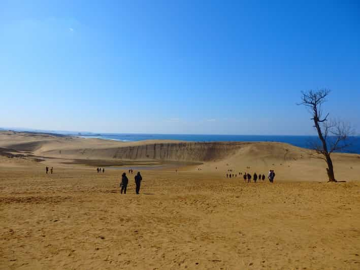 Da Osaka Dune Di Sabbia Di Tottori Tour In Autobus Del Museo Del