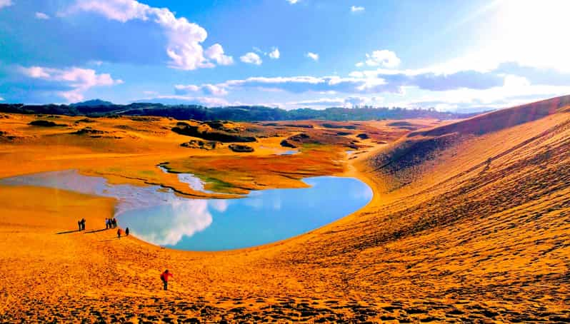 From Osaka: Tottori Sand Dunes,Hakuto Shrine Museum Bus Tour | GetYourGuide