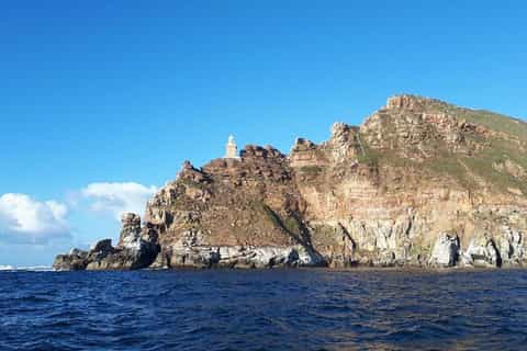 Simon's Town: Boat Tour to Cape Point