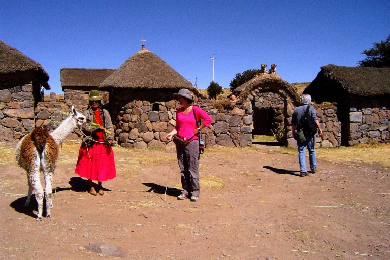 Desde Puno: Tumbas de Sillustani y Mirador PumaDesde Puno: Excursión de Medio Día a las Tumbas de Sillustani y Atuncolla