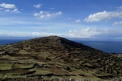 Desde Puno: Excursión de 2 días a los Uros, Amantaní y las Islas Taquile