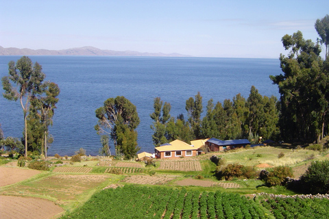 Desde Puno: Excursión de 2 días a los Uros, Amantaní y las Islas Taquile