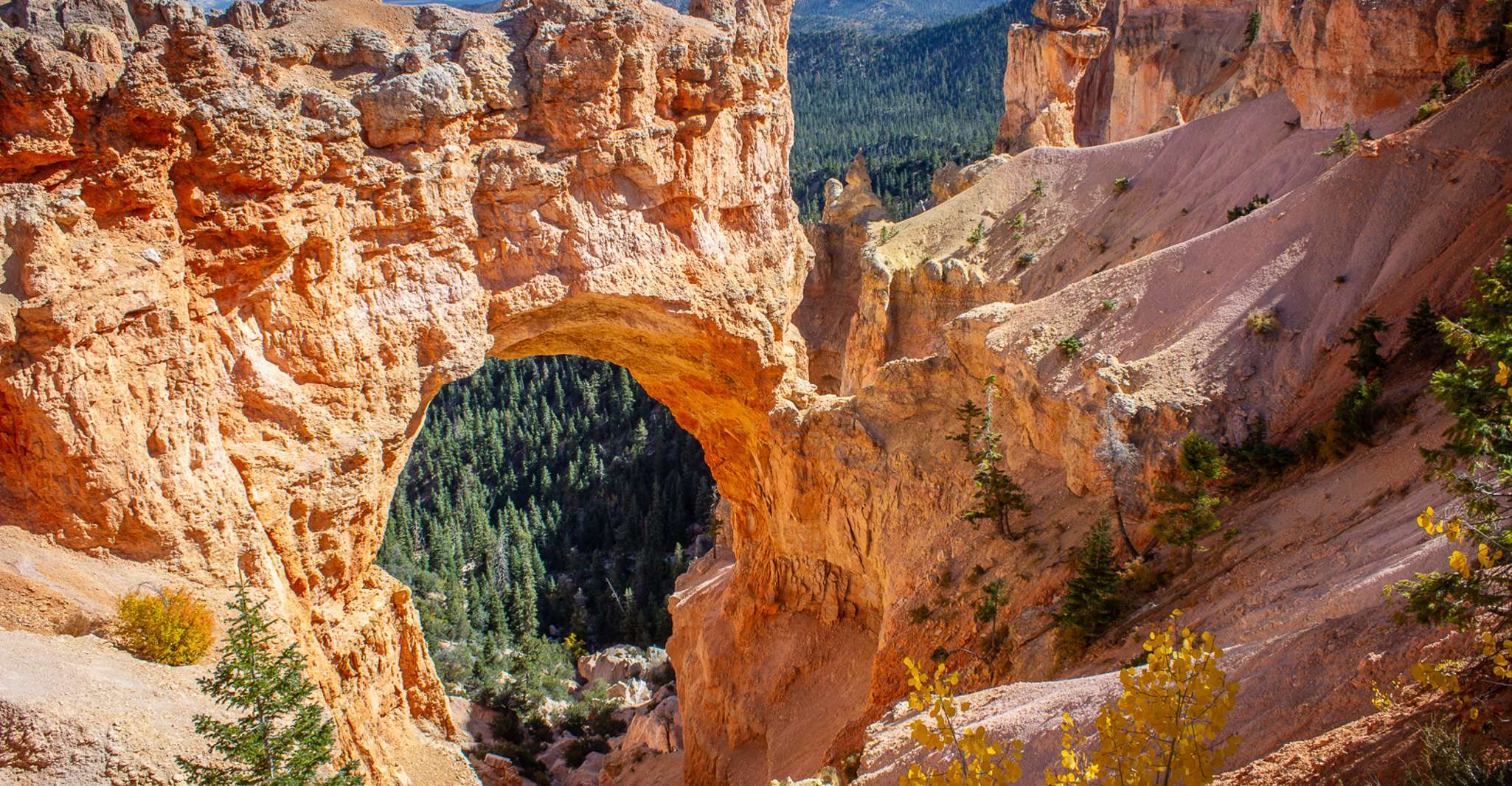 Da Salt Lake City, Tour privato del Bryce Canyon National Park - Hizvo