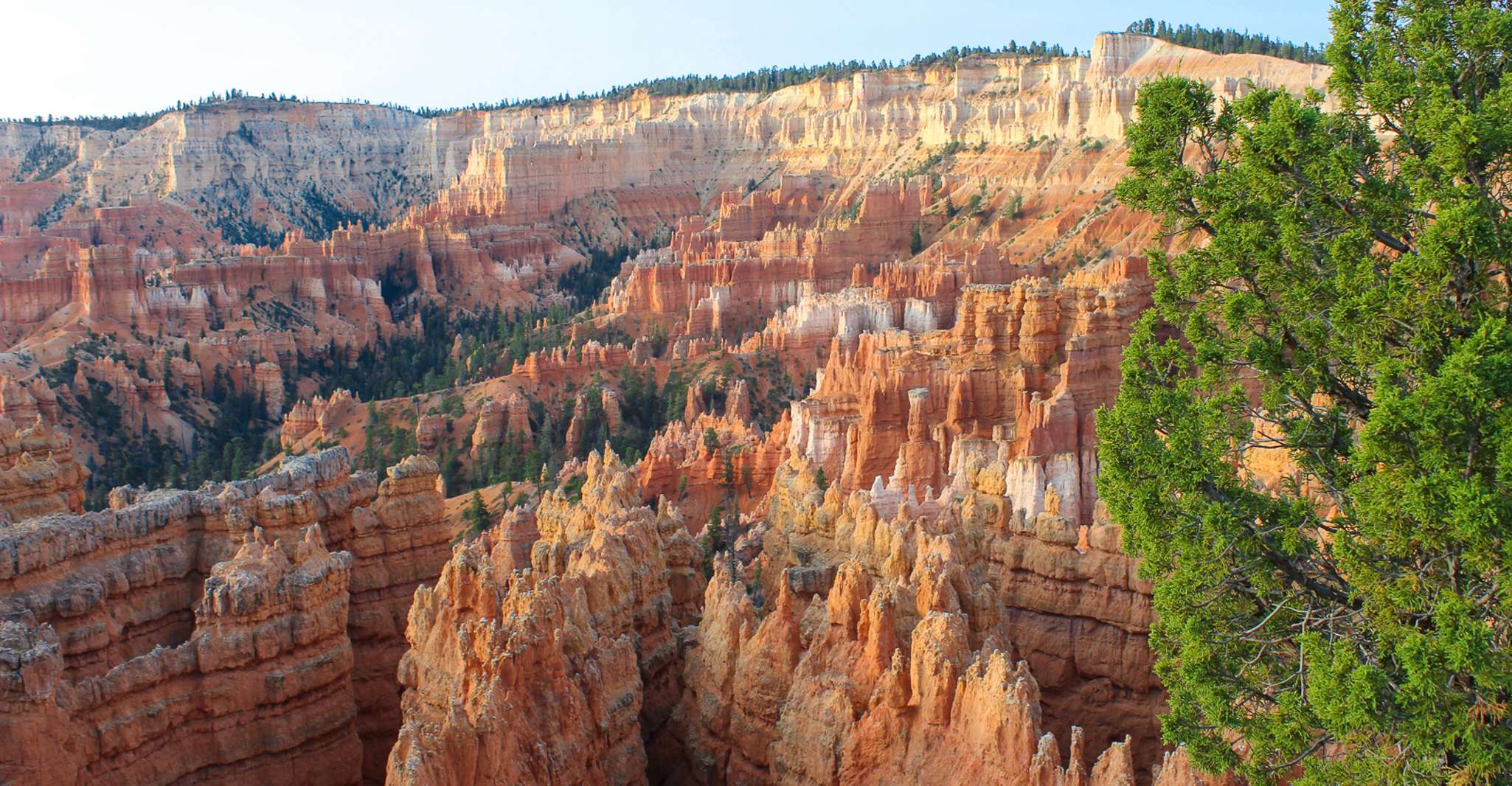 Da Salt Lake City, Tour privato del Bryce Canyon National Park - Hizvo