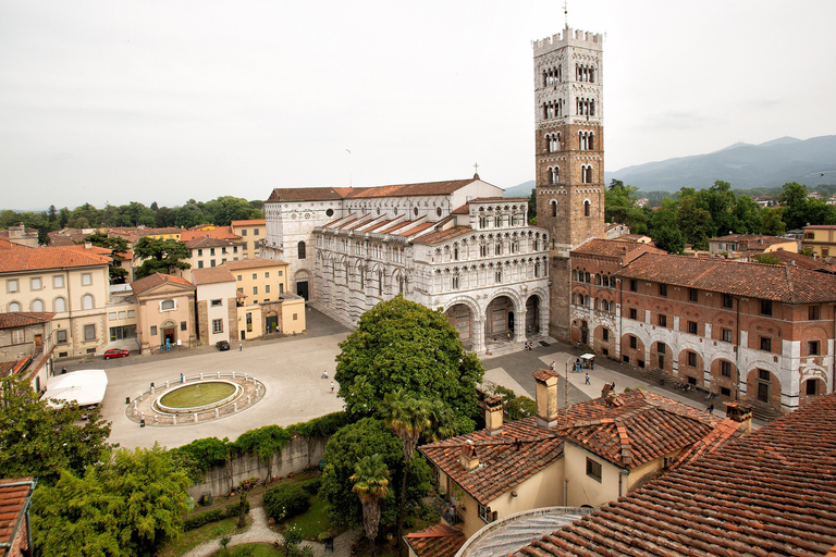 Da Firenze: tour privato di un&#039;intera giornata a Pisa e LuccaTour privato di un&#039;intera giornata