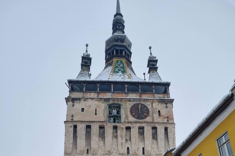 Transylvania 4-Day Tour: Castles, Bears & UNESCO