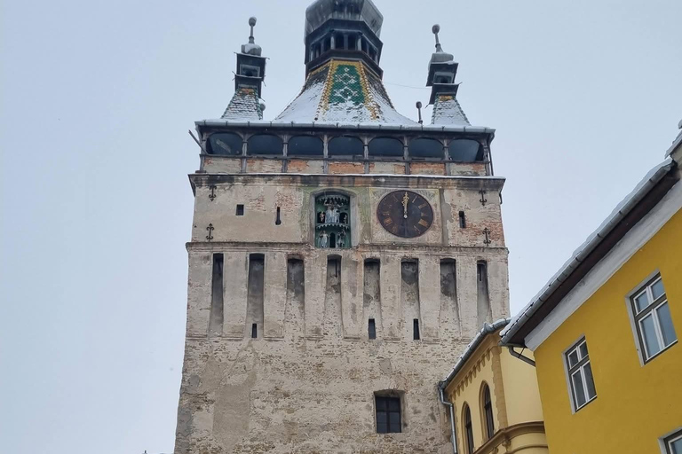 Transylvania 4-Day Tour: Castles, Bears & UNESCO