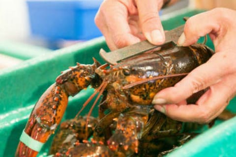 Kennebunkport, Maine : Lunchtime Culinary Walking Tour