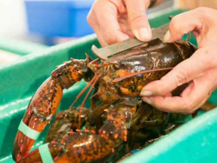 Kennebunkport, Maine : Lunchtime Culinary Walking Tour