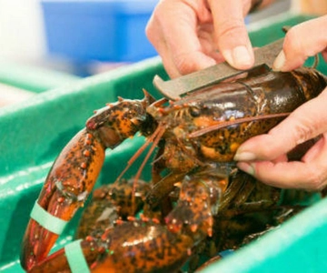 Kennebunkport, Maine: Lunchtime Culinary Walking Tour
