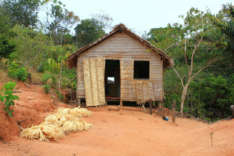 Alter do Chão: Arapiuns River and Urucureá Village Boat Tour