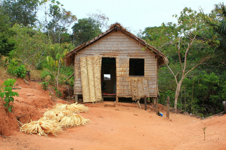 Alter do Chão: Arapiuns River and Urucureá Village Boat Tour