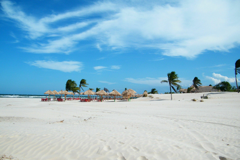 Alter do Chão: Arapiuns River and Urucureá Village Boat Tour