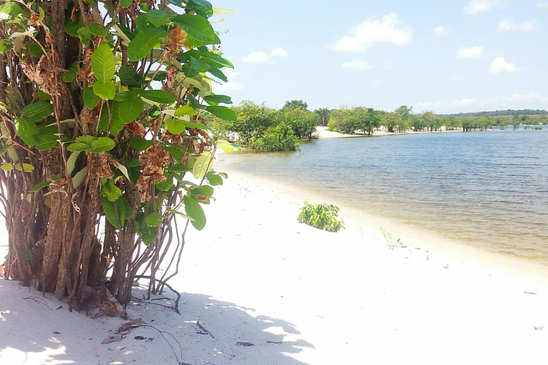 Alter do Chão: Arapiuns River and Urucureá Village Boat Tour