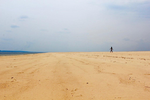 Alter do Chão: Arapiuns River and Urucureá Village Boat Tour