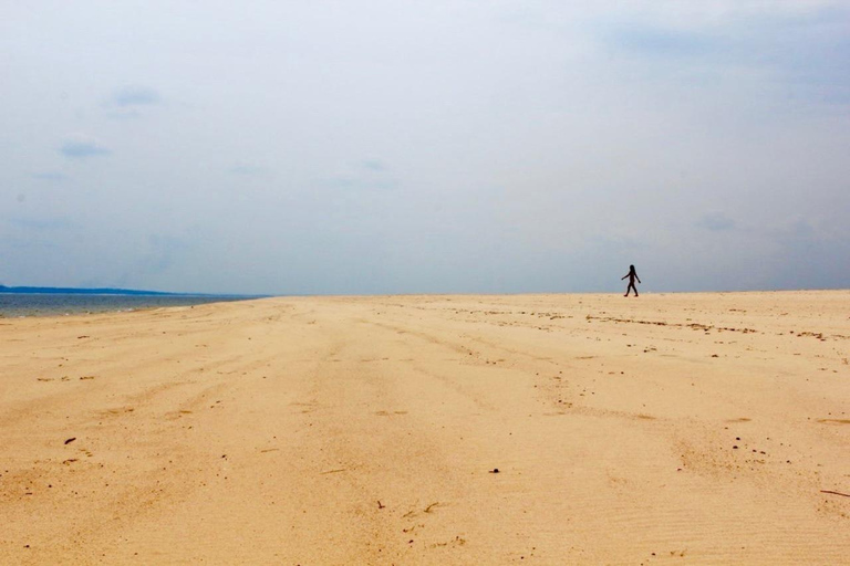 Alter do Chão: Arapiuns River and Urucureá Village Boat Tour