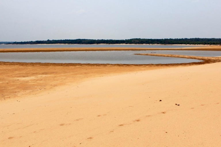 Alter do Chão: Arapiuns River and Urucureá Village Boat Tour