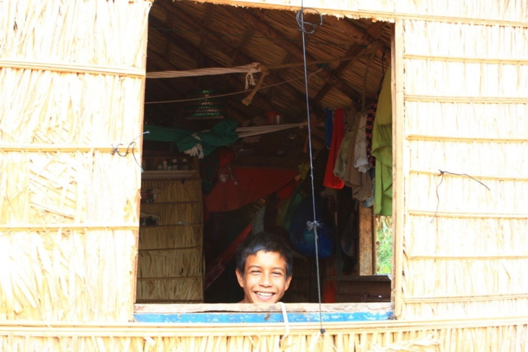 Alter do Chão: Arapiuns River and Urucureá Village Boat Tour