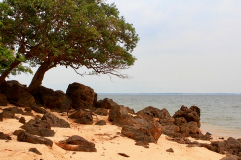 Alter do Chão: Arapiuns River and Urucureá Village Boat Tour