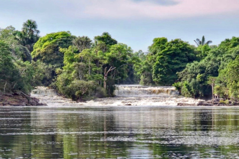 Alter do Chão: Arapiuns River and Urucureá Village Boat Tour