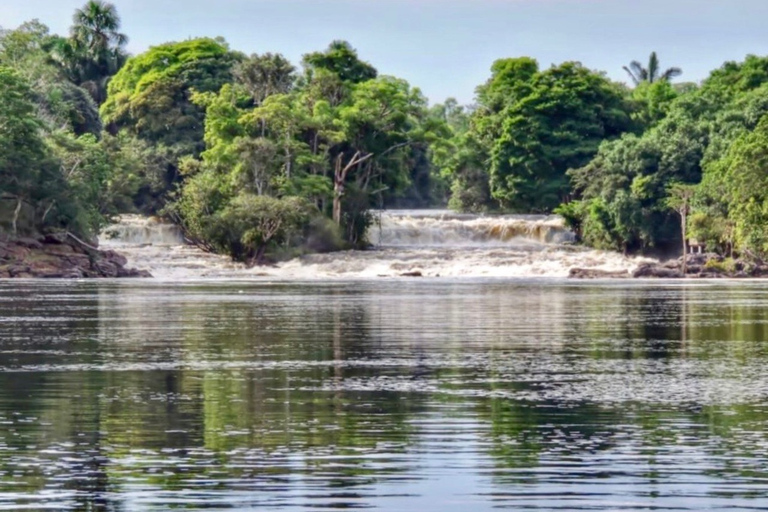 Alter do Chão: Arapiuns River and Urucureá Village Boat Tour