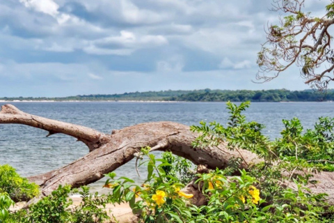 Alter do Chão: Arapiuns River and Urucureá Village Boat Tour