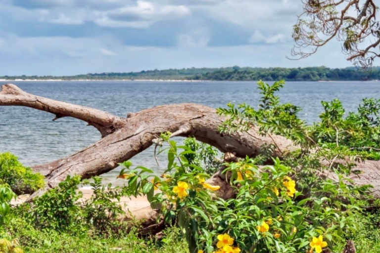 Alter do Chão: Arapiuns River and Urucureá Village Boat Tour