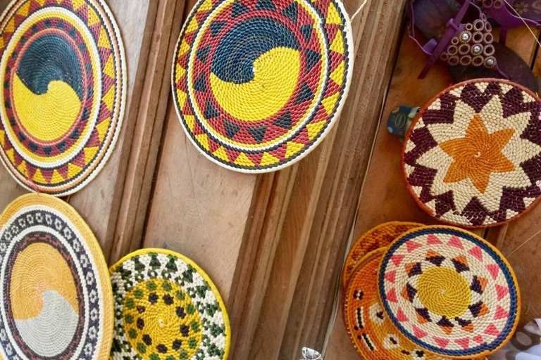 Alter do Chão: Arapiuns River and Urucureá Village Boat Tour