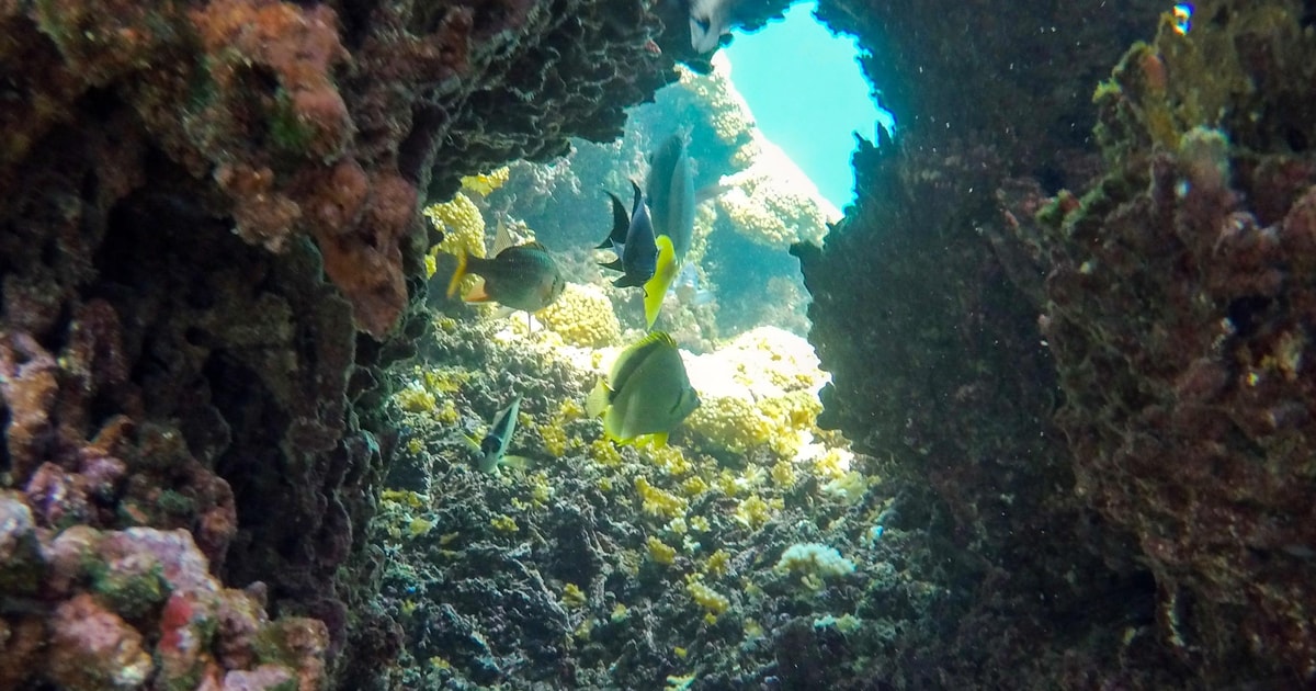 Puerto Escondido Aventura de snorkel en Huatulco con traslado