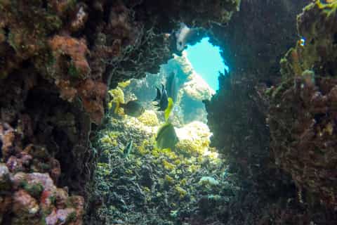 Puerto Escondido: Huatulco Snorkel Adventure with Transfer
