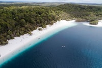 来自弗雷泽岛（Fraser Island）全天教练之旅的赫维湾（Hervey Bay） - Housity